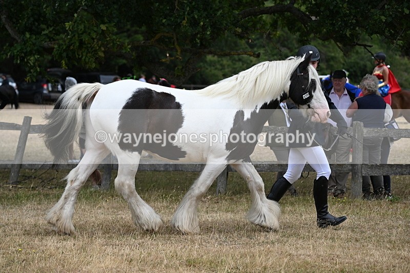 WJ6_8340 - Class 10 Coloured in Hand