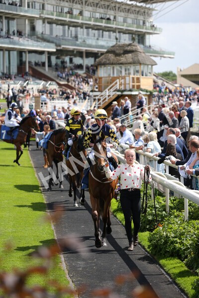 yr10062022r2-2 - Race 2 2.30pm SKF Rous Selling Stakes