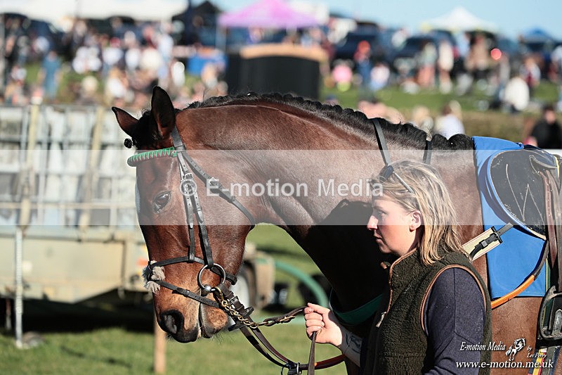 PtP 210326 917 - VWH Cirencester Races 21/03/26