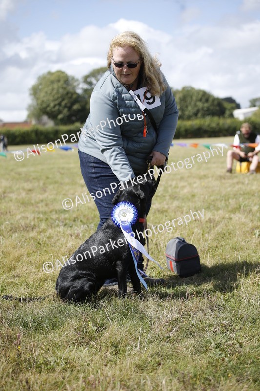 20250831-3722 - Dog Show