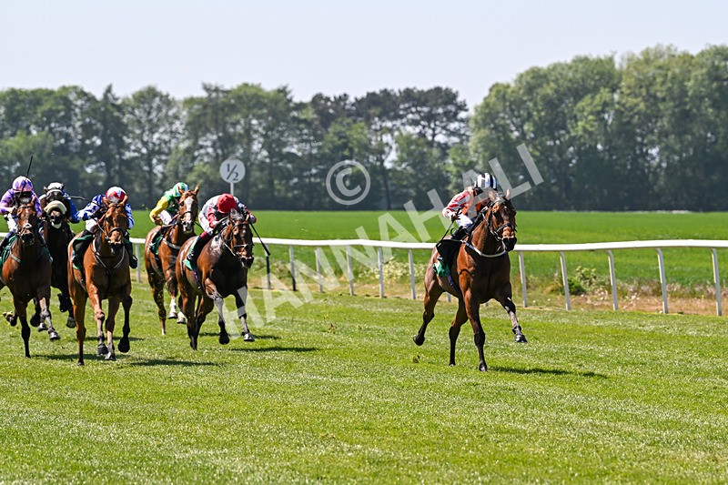 170525-Race 2-Kodiac Thriller-7970 - Race 2