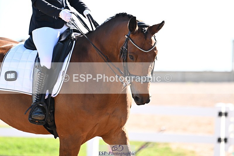 240816A-102421-03829 - 100-Ava.Porter-Sutherland