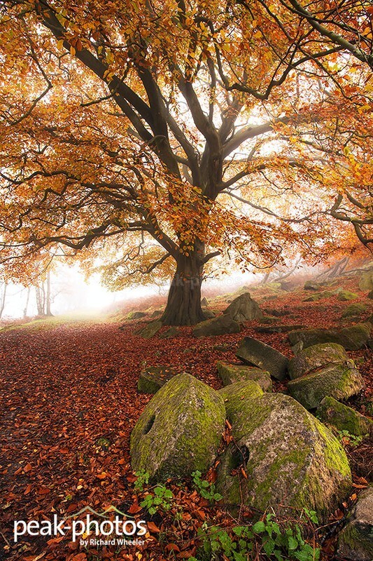 Bole-Hill-Millstones - Peak District | Dark Peak