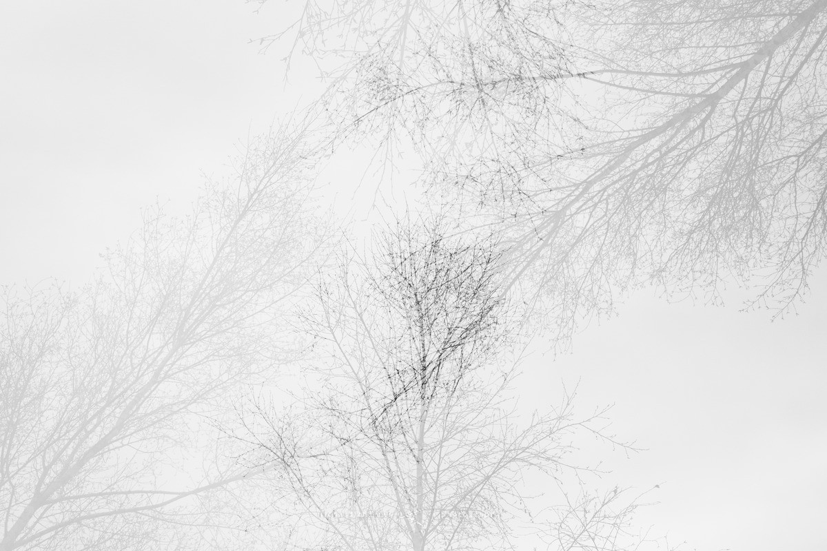 Stretching point - Revealed