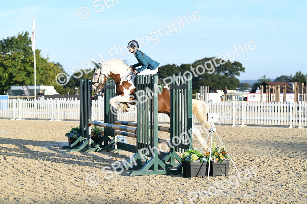 SBM_58007 - J24 - Junior Horse 75cm Championship