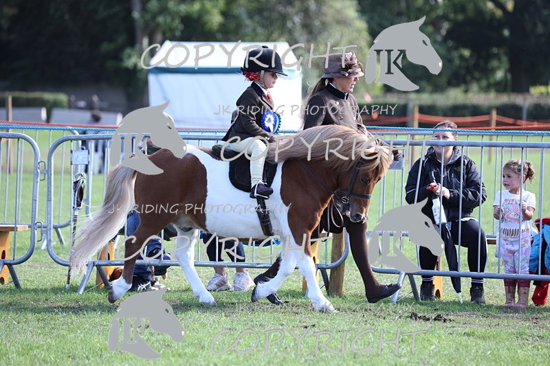 APP_3957 - Class 13 Lead rein