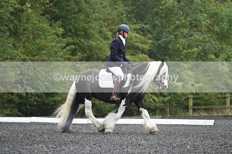 WJ7_0262 - Time 11:35 to 12:06