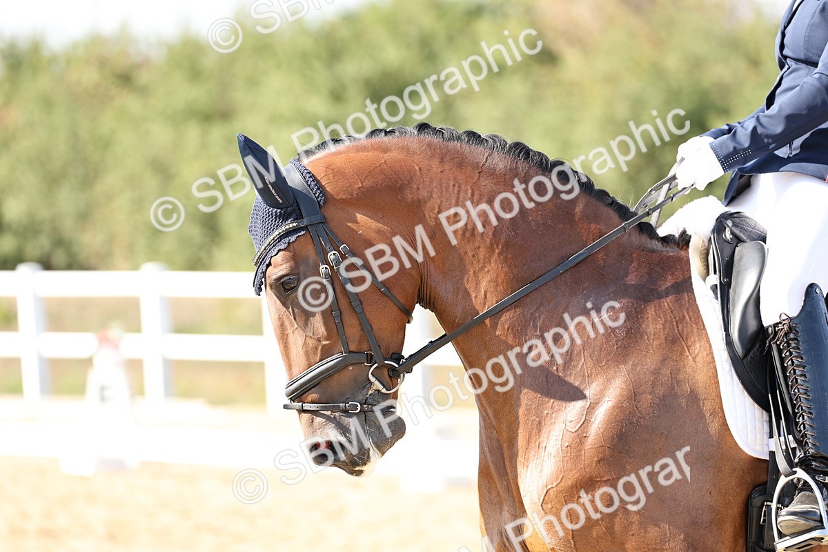 SBM_015308 - Class 9 - Advanced medium 3