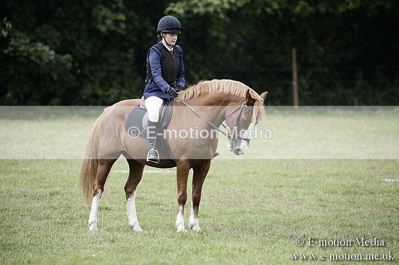 BVR090918 251 - BVRC Dressage and Show Jumping 09/09/18
