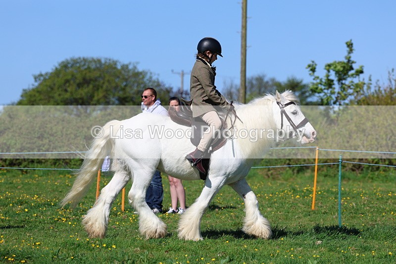 3E7A9116 - Class 3: First Ridden