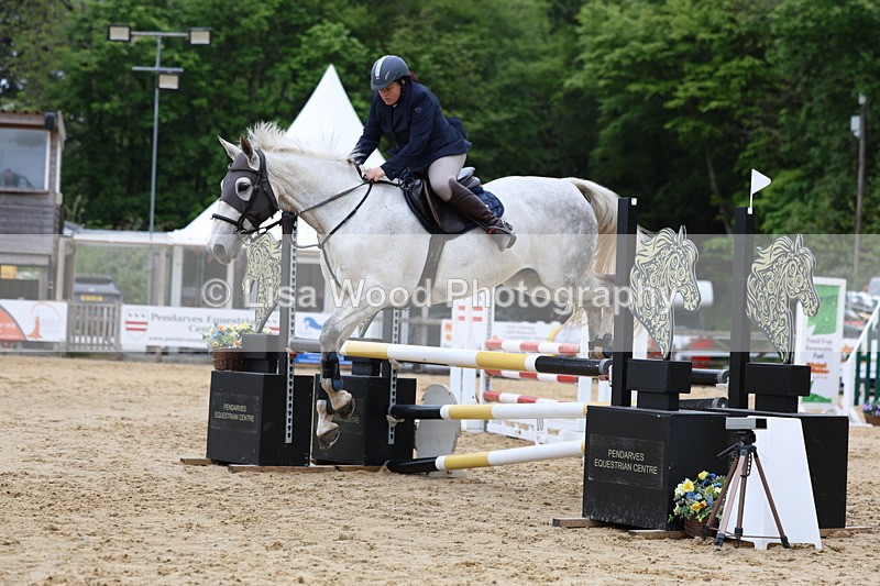 3E7A6072 - Class 4: Senior British Novice/90cm open