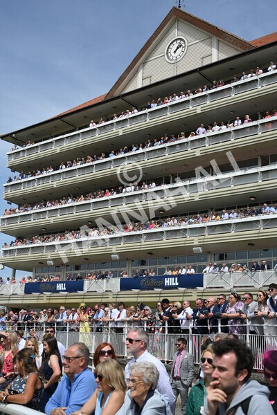 yr08072022r1 -13 - Race 1 2.05pm William Hill Best Odds Guaranteed Handicap Stakes