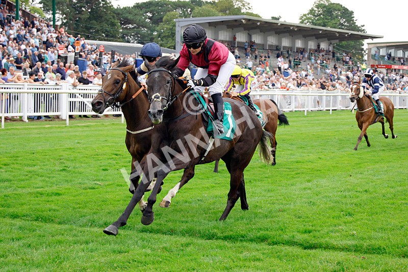 250725-Race 5-Idyllic-88694 - Race 5