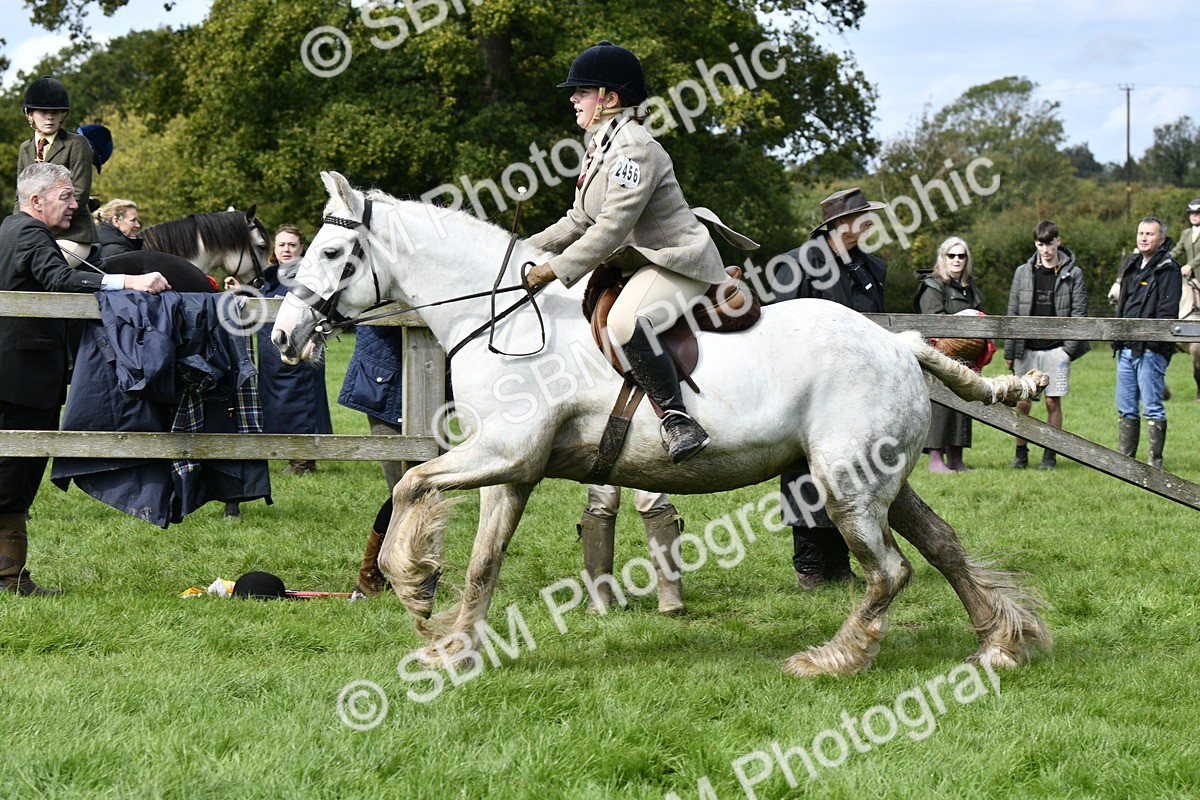 SBM_41581 - S32 - Mountain & Moorland Working Hunter Pony