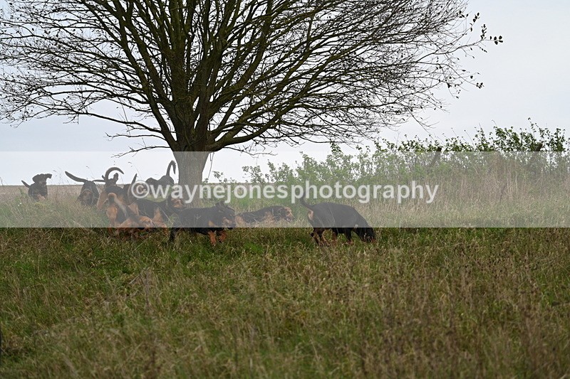 WJ7_9812 - Camera 1 & Last fence