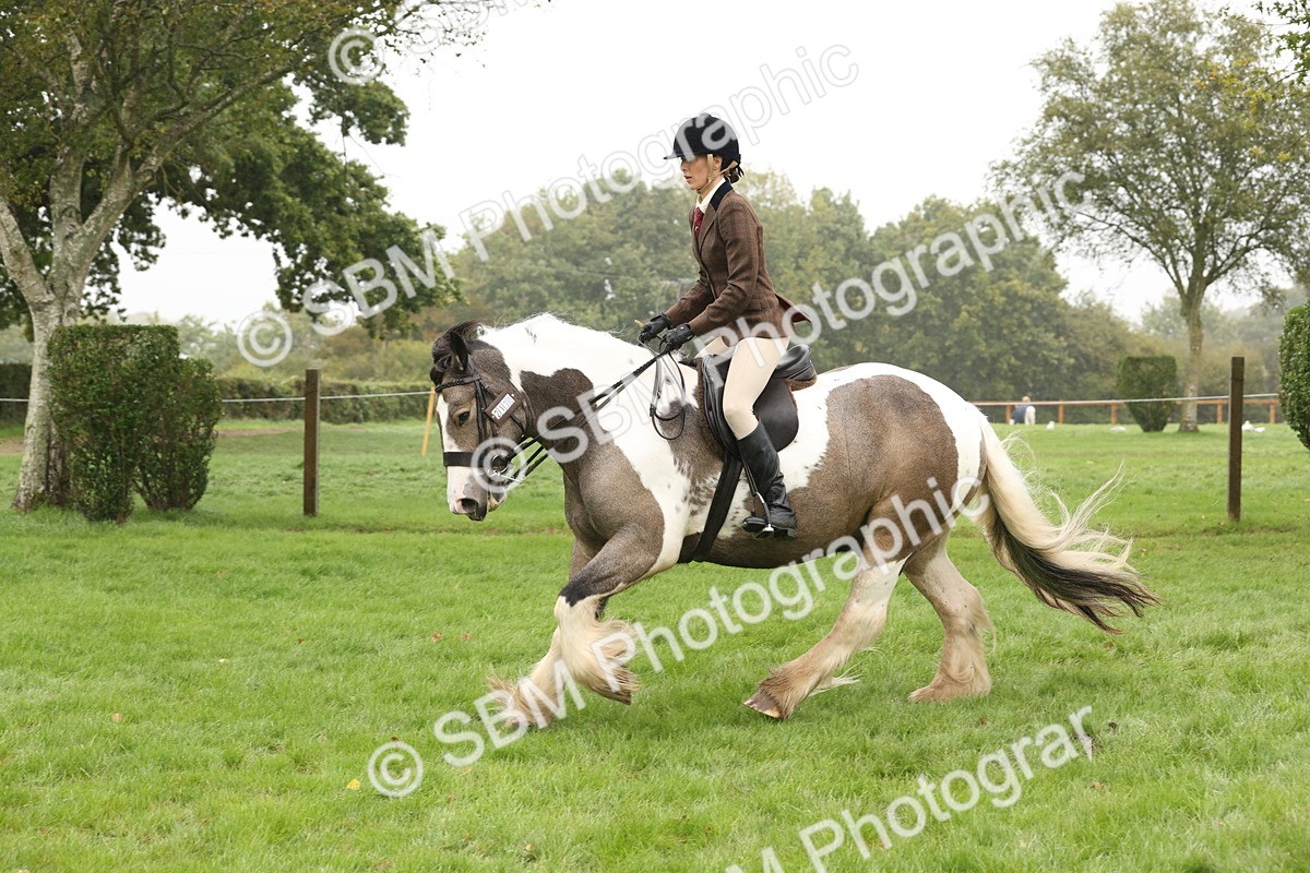 SBM_72744 - S70 - Traditional Cob Ridden