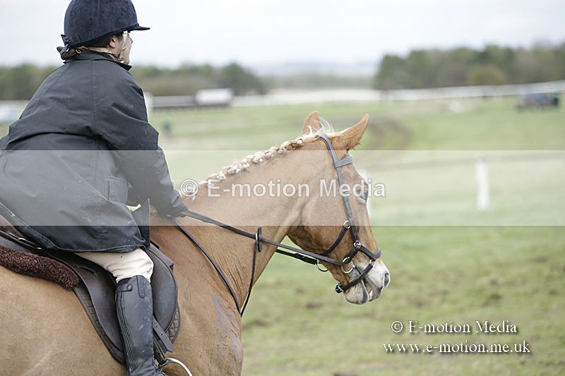 PtP 150320 0659 - New Forest Point-to-Point Larkhill 15/03/20