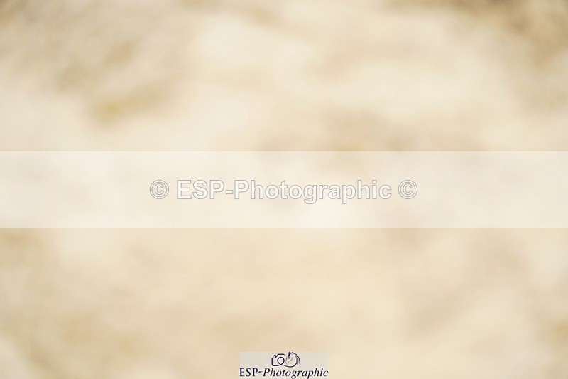 240309-113810-00420 - Cls 01 AE 70cm