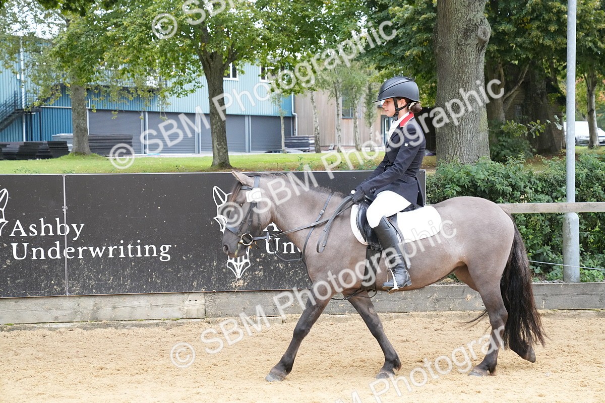 SBM_71810 - J3 - Mini Tour Junior Pony 40cm Championship