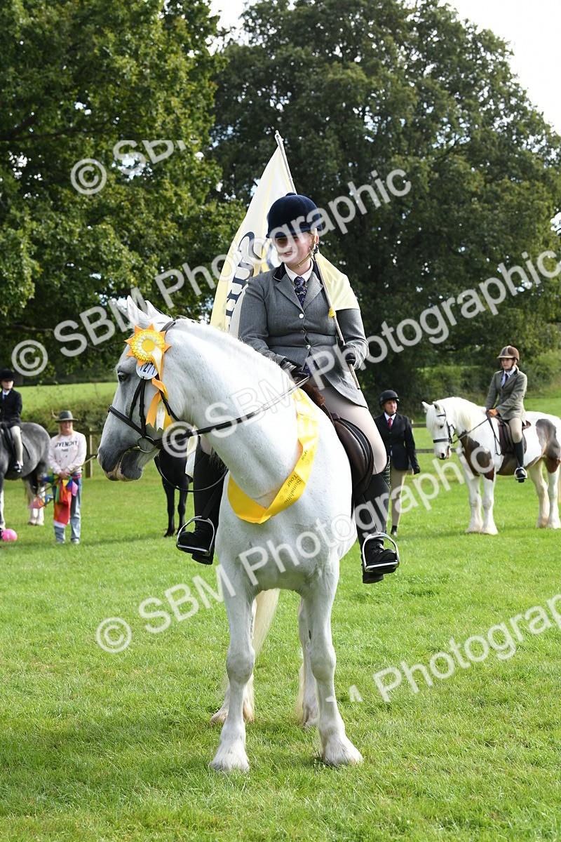 SBM_47239 - S12 - Family Horse & Pony