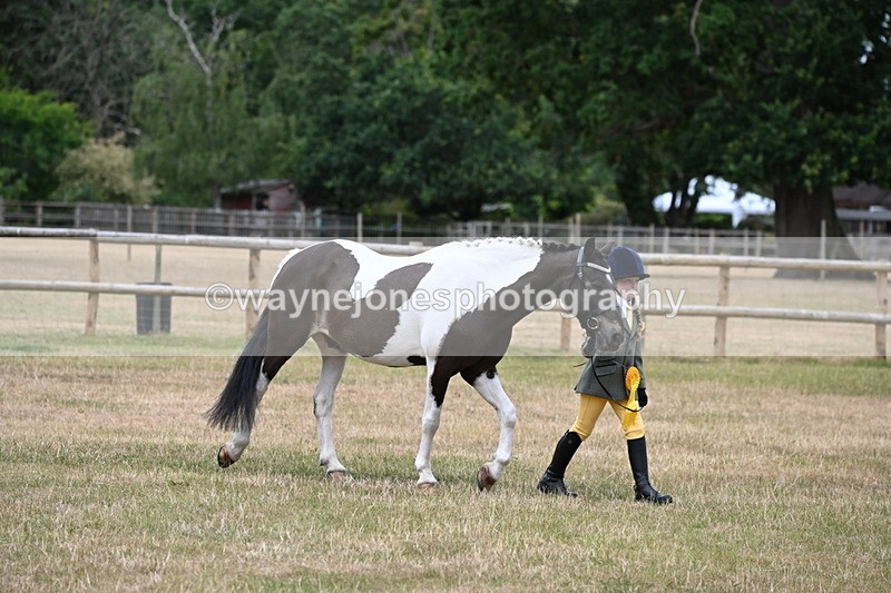 WJ6_4560 - Class 10 Coloured In-hand
