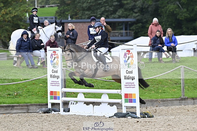 251005A-122500-03765 - Cls 08 Mini 70-75cm