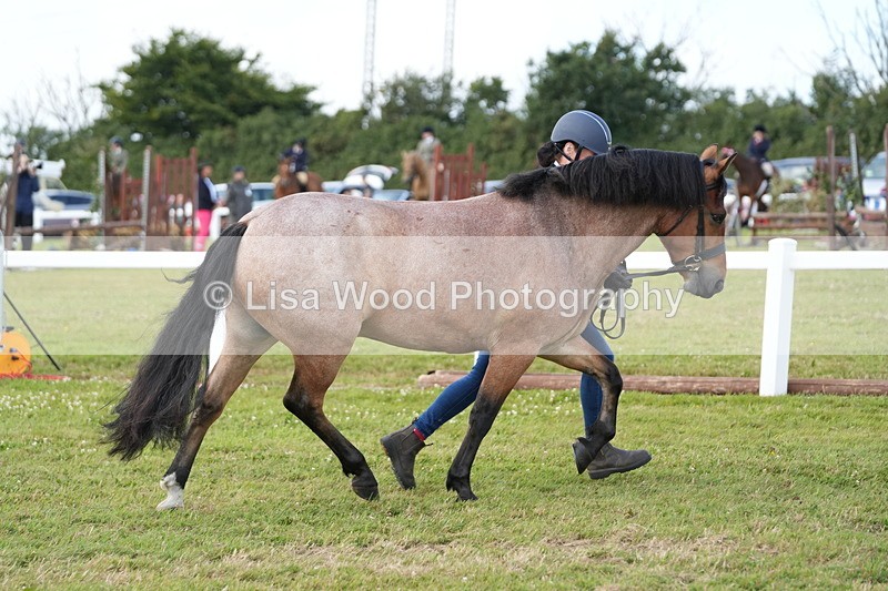 DSC05720 - Class 51: NPS M&M 4 years and over Large Breeds