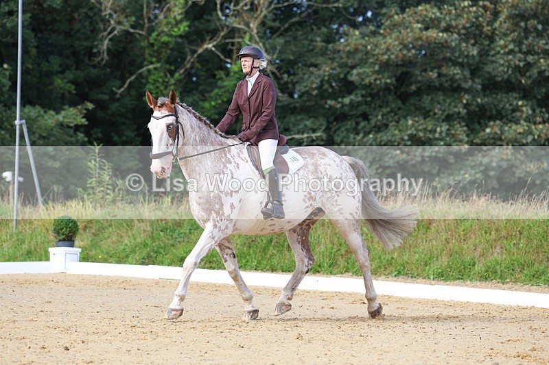 3E7A2360 - Class 1: Intro 4 2024 section A