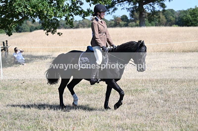 WJ7_3804 - Class 9 Mountain & Moorland Ridden