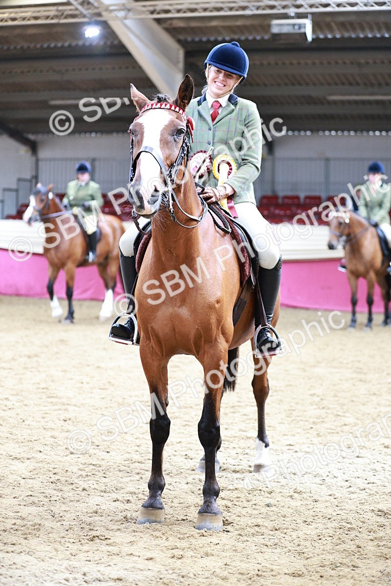 SBM_03699 - Class 6A Area Ridden Pre-Vet