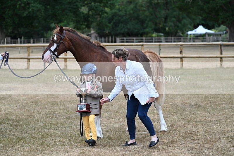 WJ7_9366 - Prettiest Mare Champs