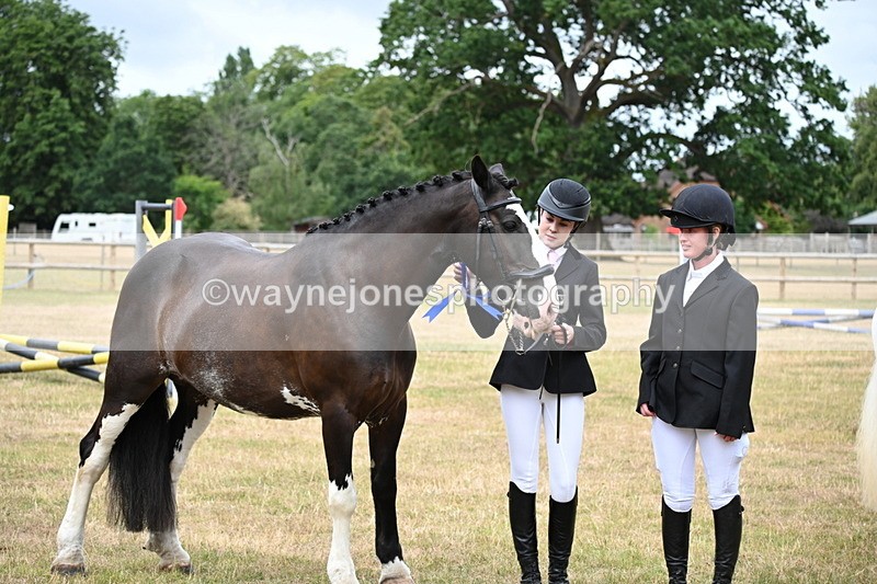 WJ6_4457 - Class 10 Coloured In-hand