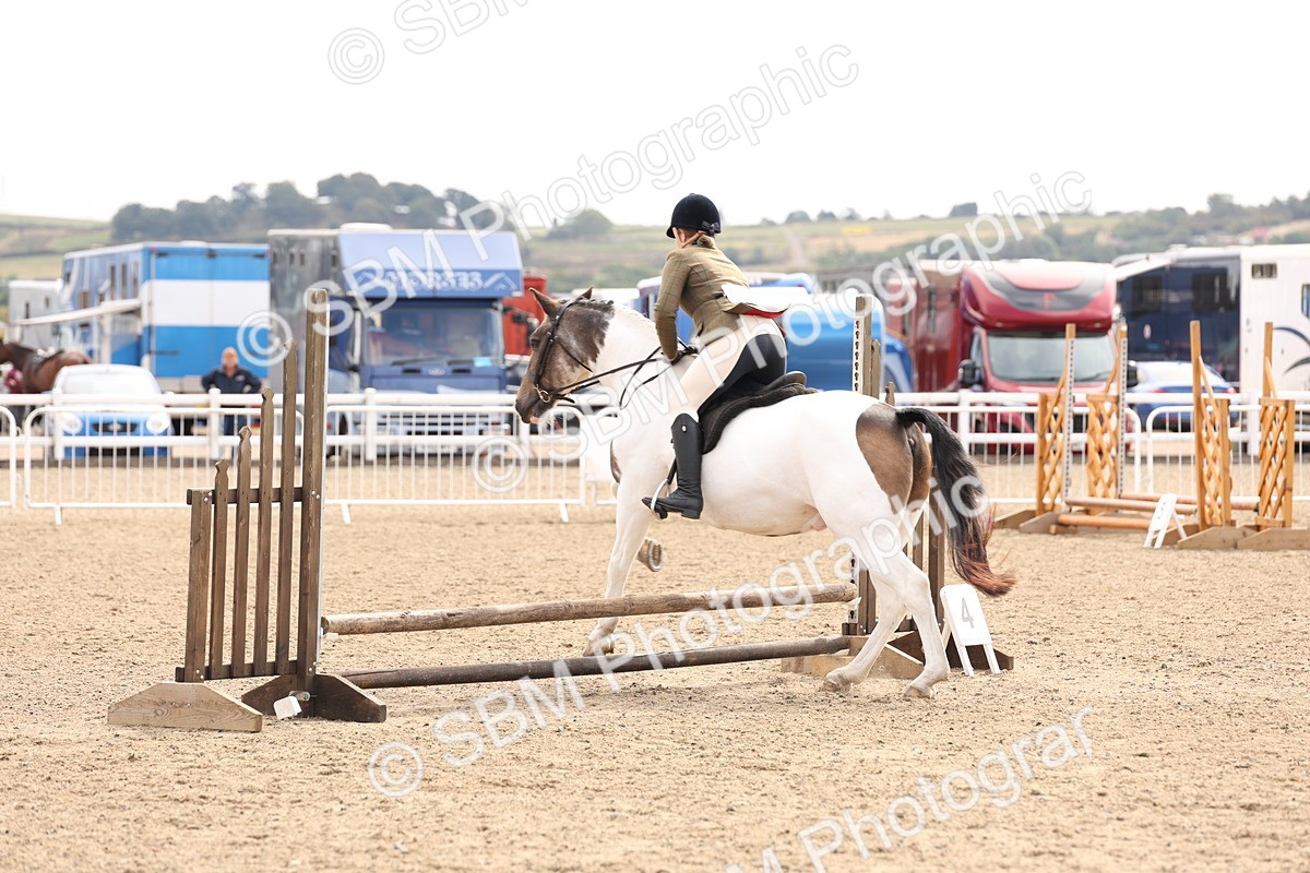SBM_04295 - Class 54 - Riding Club Horse/Pony
