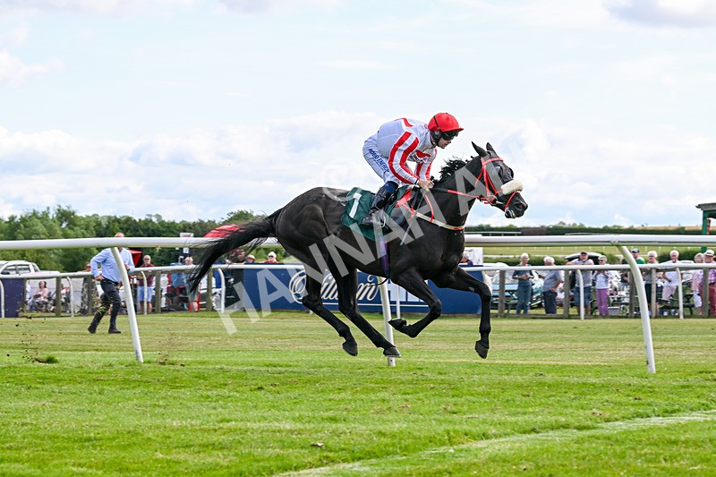 090725-Race 5-Cosmic Soul-3477 - Race 5