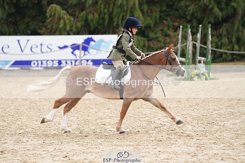 250824A-114443-35667 - 2028-Harry.Honeyball-Sardis.Cassius