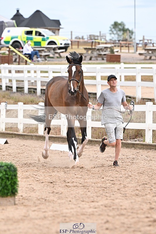 250716-152455-01914 - Trot Up 2.30 to 3.30