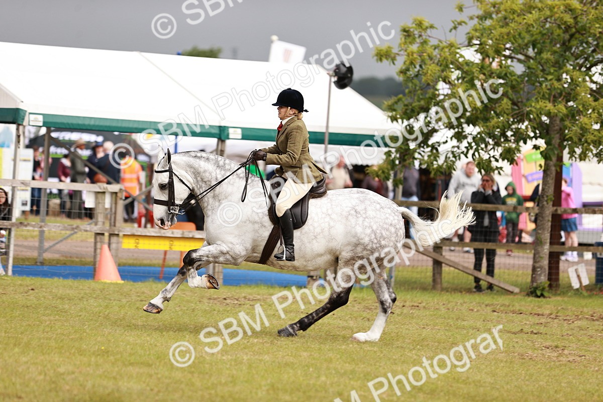 SBM_13026 - Class 85-87 - RIHS Cobs