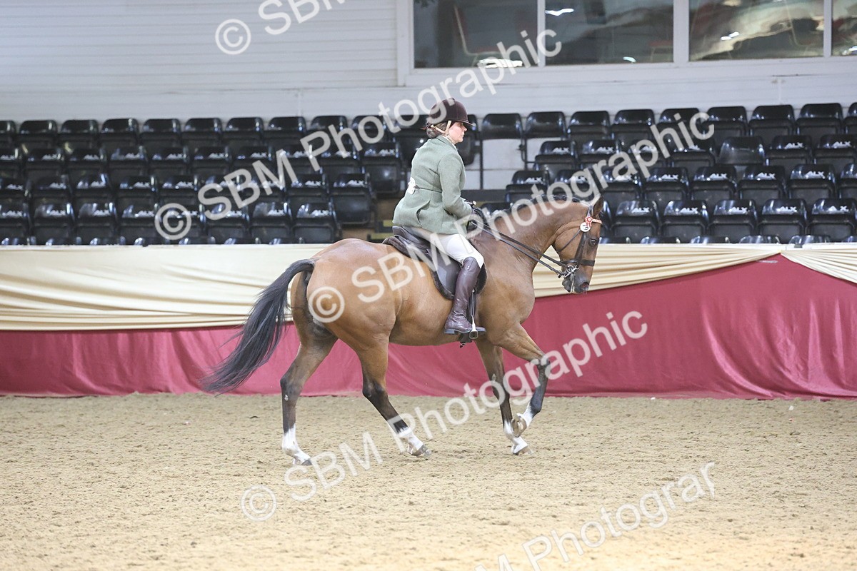 SBM_23810 - class 906 - Supreme Final - Ridden Pre Vet