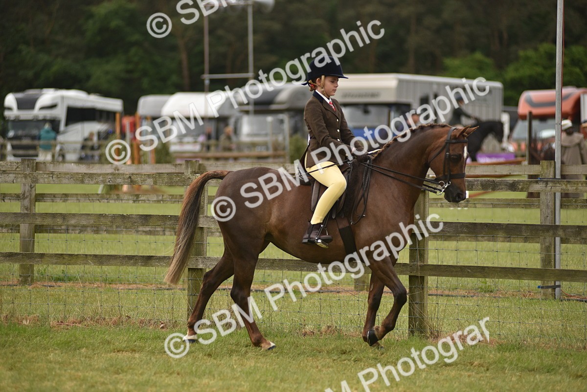 SBM_11983 - Class 110-112 - LIHS BSPS Performance Pones