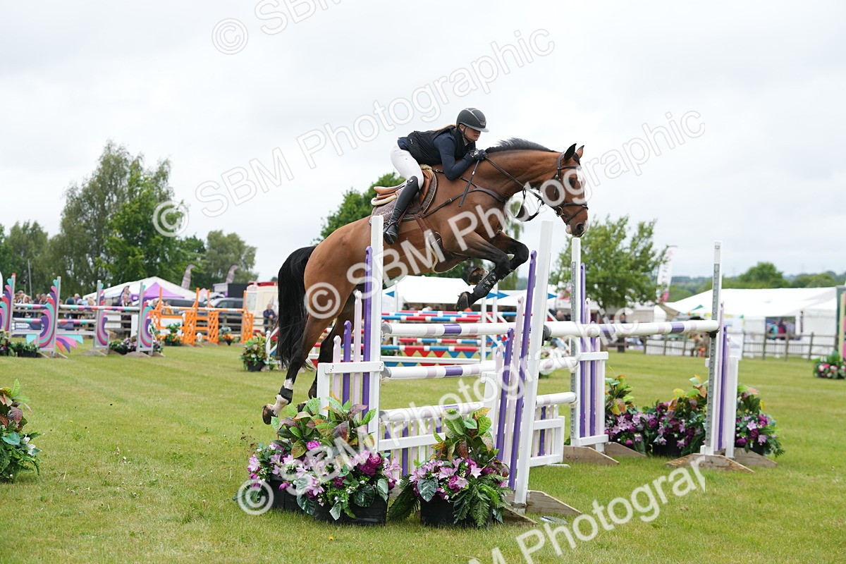 SBM_02995 - Class 201 - British Horse Feeds Speedi Beet Horse of the Year Show Grade  C