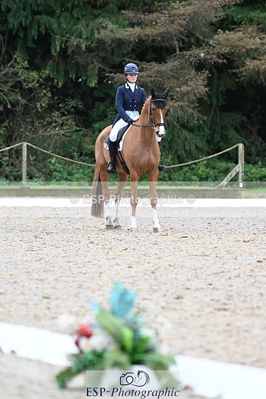 231019-130500-02934 - 049-AUGUSTUS.IMPERIOUS-Ines.Mitchell-DR