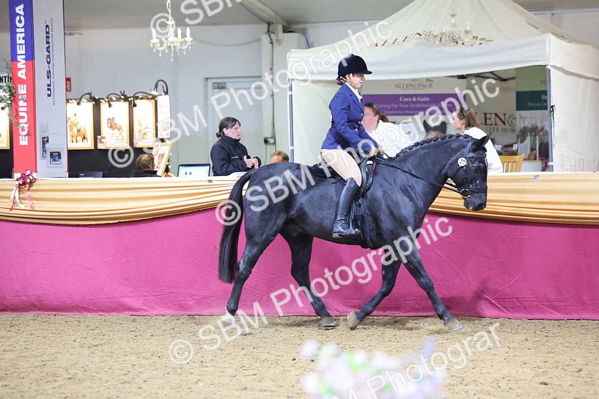 SBM_19141 - Class I Competition/ Riding Club Champ