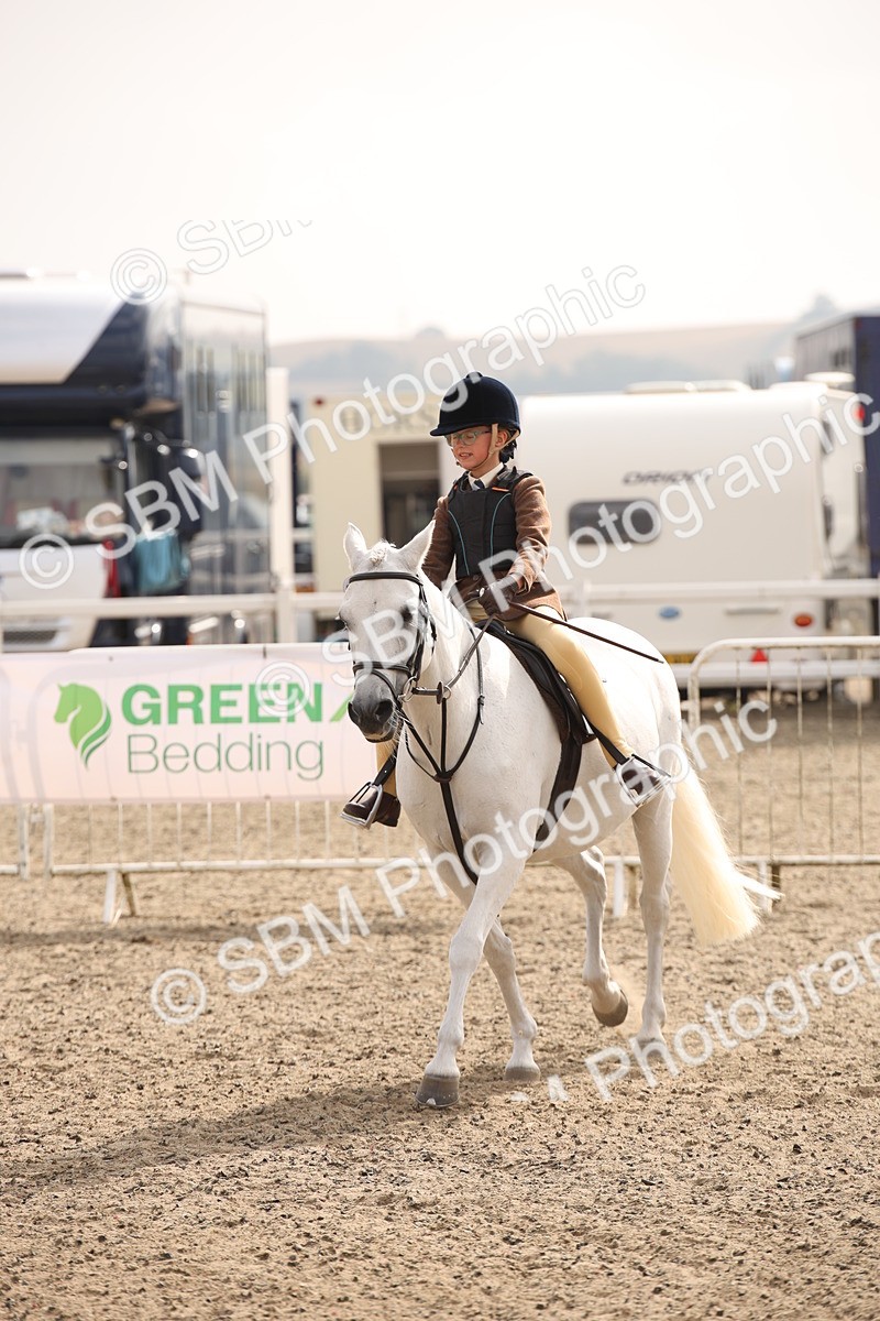 SBM_11667 - Class 404b Junior Working Veteran- 40cm(20+)