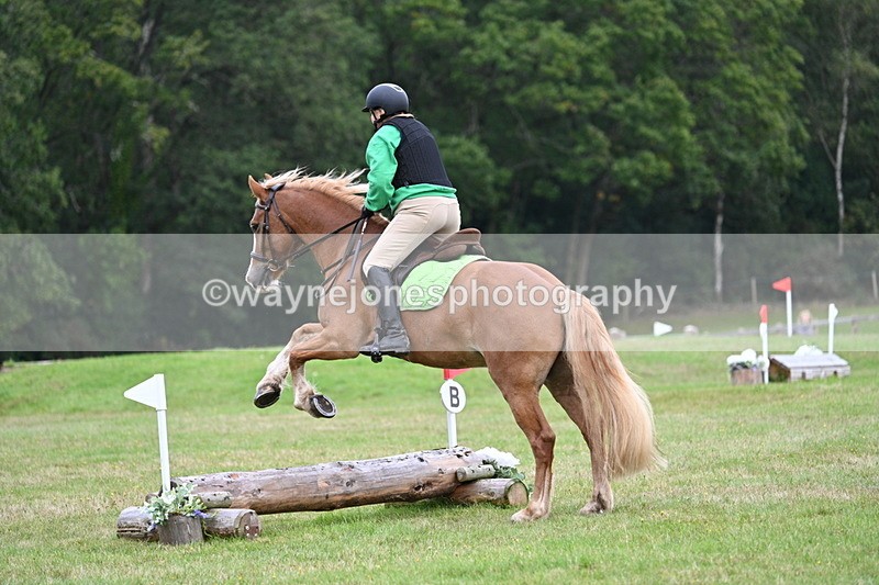 WJ7_7830 - 40cm Time 10:49 to 11:18