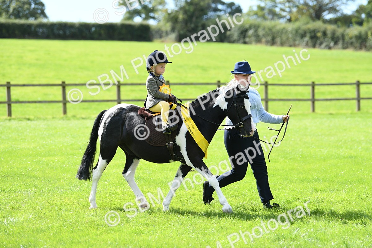 SBM_41279 - S19 - Lead Rein Show & Show Hunter Pony