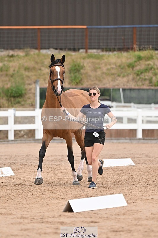 250716-155957-02317 - Trot Up 3.30 to 4.30