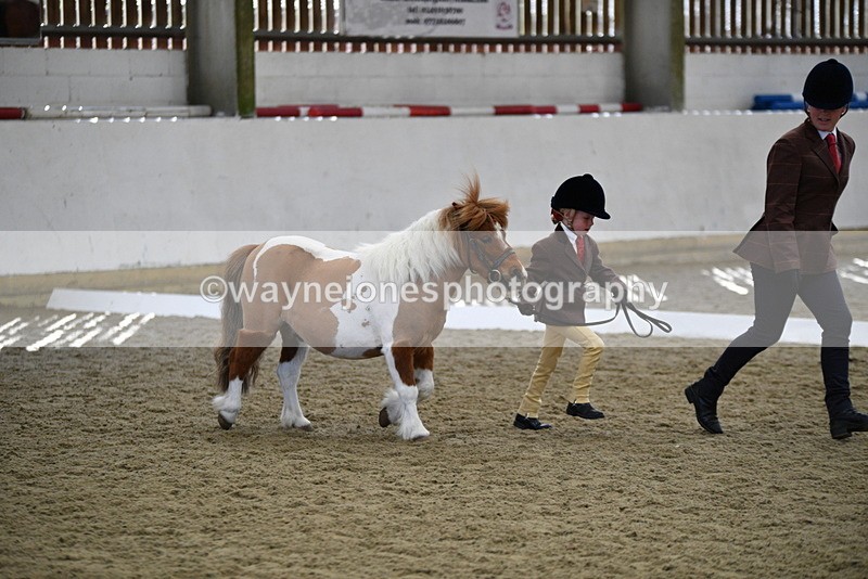 WJ5_4905 - Class 7 In hand coloured / odd coloured