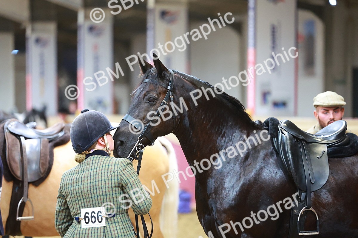 SBM_09780 - Class 102 - HOYS Veteran Qualifier - Ridden Veteran