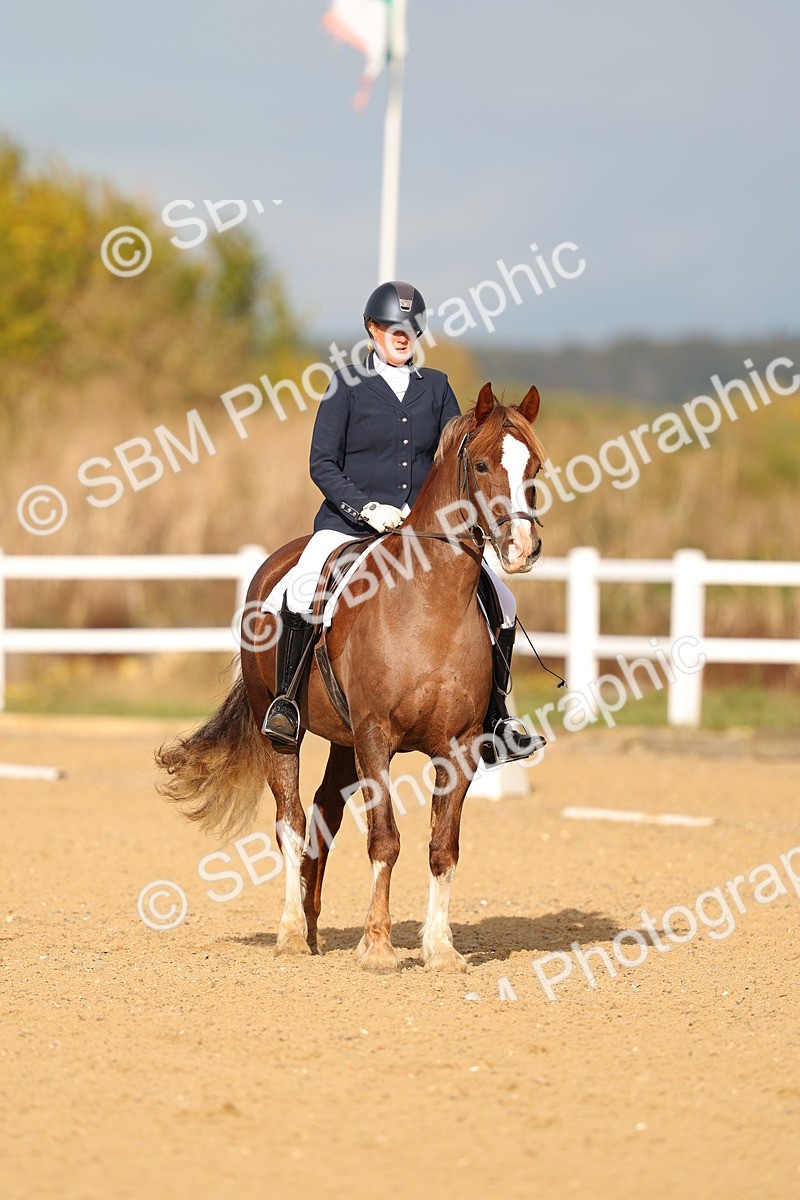 SBM_009308 - Class 1 - P4