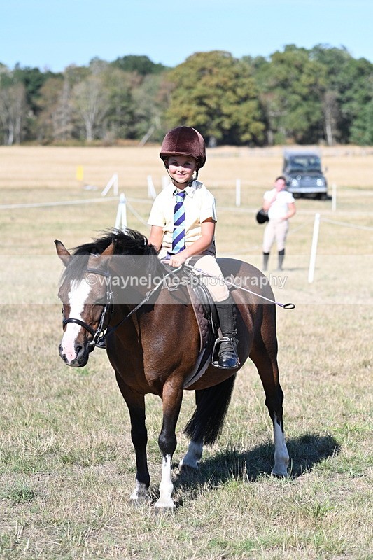 WJ7_2131 - Class 44 Child's Best Friend